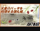 大量のバッタを料理するパラポネラ。
