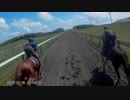 坂路調教撮ってみた。三頭併せで後ろからぶち抜け編