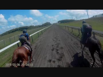 坂路調教撮ってみた。三頭併せで後ろからぶち抜け編