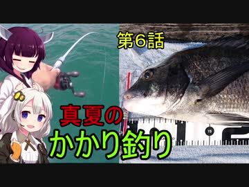 海から遠くても海釣りに行きたい⑥　真夏のかかり釣り