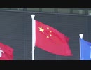 五星紅旗を守る活動、ネット上で熱烈な反響