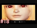 初見で体験するドラッグ オン ドラグーンの世界 Part18
