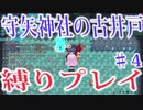【ロータスラビリンス】守矢神社の古井戸 縛り実況♯4【不思議の幻想郷】