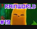 命がけのサバイバル！RainWorld実況するで#19【Switch/日本語版】