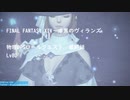 FINAL FANTASY XIV 物理DPSロールクエスト　最終話