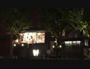 열대야 fever を歌ってみた　byしおにゃ