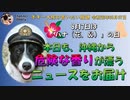 本日ハナの日、危険な香りのするニュースをお届け　ボギー大佐の言いたい放題　2019年08月07日　21時頃　放送分