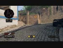 【COD：BO4】のんびりFFA35