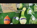 布団ちゃん『館山　道の駅へ買い物』2枠目【2019/08/09】