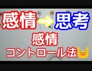 ストレス激減！！感情を思考に変える！感情コントロール法！　スーパー発達メンター　NLPer　親子発達お悩み相談室　子ども　発達支援　コーチ　ティーチ　メンター　心理　感覚統合　原始反射大脳　EQ　IQ