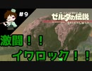 【実況】マスターモードでやりこみサバイバル生活！！　Part9　【ゼルダの伝説　BotW】