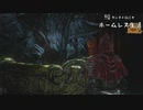 【ダークソウル３】船橋一男がカンストDLCでホームレス生活8