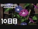 始まるぞおれのなつやすみが　10日目【ぼくのなつやすみ】