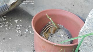 572北海道旅先【層雲峡、大箱、大雪ダム、三国峠、本別温泉 】