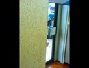 16-11.25(PM18：10-22)