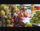 【ベトナム旅行記・Vietnam Travel】ホーチミンのベンタイン市場で買物＆サイゴン大聖堂付近をまったり観光というか、散歩【VLOG】