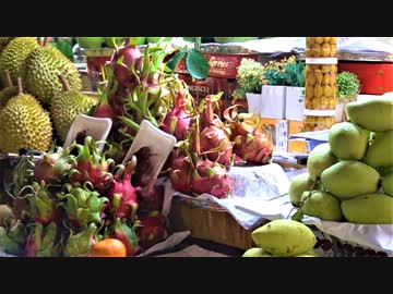 【ベトナム旅行記・Vietnam Travel】ホーチミンのベンタイン市場で買物＆サイゴン大聖堂付近をまったり観光というか、散歩【VLOG】