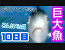 【10日目】女子大生の夏休み！ぼくのなつやすみ実況プレイ！【毎日投稿】
