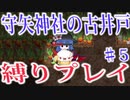 【ロータスラビリンス】守矢神社の古井戸 縛り実況♯5【不思議の幻想郷】