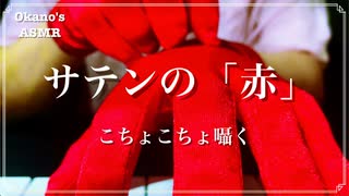 【ASMR】燃える赤手袋！サテン生地でのこちょこちょ【音フェチ】