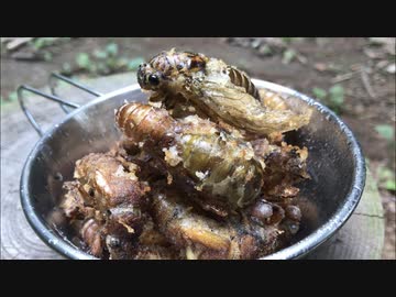 外来種を食べに行こう！【#15タケオオツクツク】