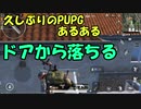 元エースが久々にPUBGをやると、可愛い子がいた【PUBG】