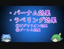 #03チルノのperfect心理学教室