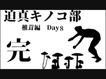 迫真キノコ部・しいたけ栽培の裏技　Day8