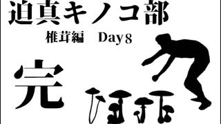 迫真キノコ部・しいたけ栽培の裏技　Day8