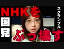 N国党ってどんな党か解説
