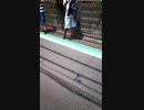 ホモと見るゴミ