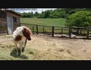【生海月】なまくらじお【2019.8.11】