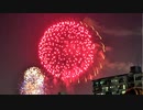 【VLOG・イベント】板橋区、いたばし花火大会(戸田橋花火大会)を観賞し、荒川でバスフィッシング＠RX100M6とPixel 3 XLで手持ち撮影【釣り】
