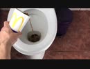 マクドナルドのコーラをトイレに流してみた２