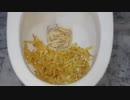 マクドナルドのフライドポテトをトイレに流してみた２