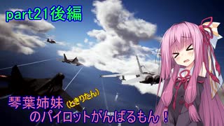 【ACECOMBAT7】琴葉姉妹(ときりたん)のパイロットがんばるもん！part21後編