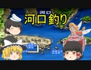 【ゆっくり実況】海無し県人のゆっくりの川釣り　part11【川のぬし釣り～秘境を求めて～】