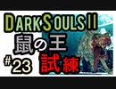 【ダークソウル2】まさかまさかのこいつに苦戦したんだが？-ネズミの王の試練-【初見実況プレイ#23】