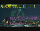 地獄の初見縛り【ダークソウルリマスター】part9