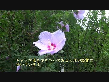 素人キャンパー奮戦記　真夏のダラダラキャンプ　その１　設営編