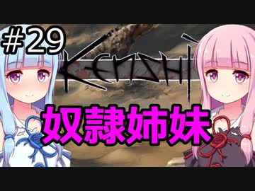 【Kenshi】琴葉茜・葵の奴隷姉妹 #29【VOICEROID実況】