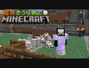 偏食きうり巻のMinecraft【実況】１５日目