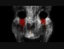 【十周年で泣き叫ぶホラー】Cry of Fear CC 実況プレイリベンジ Ⅰ【FeniX】