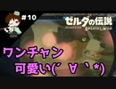 【実況】マスターモードでやりこみサバイバル生活！！　Part10　【ゼルダの伝説　BotW】