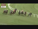 2019年　米国　第37回アーリントンミリオン
