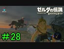 【実況】見落としが多い勇者の冒険part28【ブレスオブザワイルド】