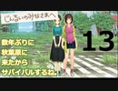 数年ぶりに秋葉原に来たからサバイバルするね。#13【じんるいのみなさまへ】