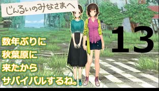 数年ぶりに秋葉原に来たからサバイバルするね。#13【じんるいのみなさまへ】