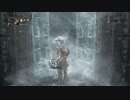 【Bloodborne】ホモと見るザ・ヤーナム生活 血晶マラソン編2.5.hosoku