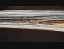 Maura glass art -Winding painting details